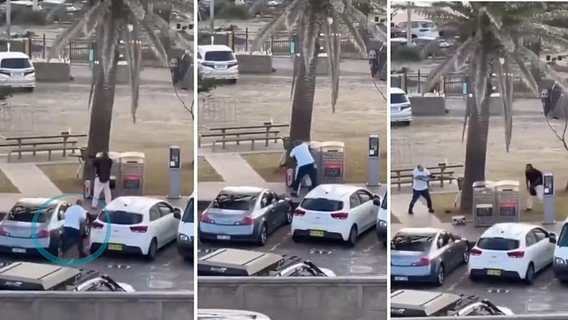 Сиднейде жеміс сатушы террористі қалай залалсыздандырды