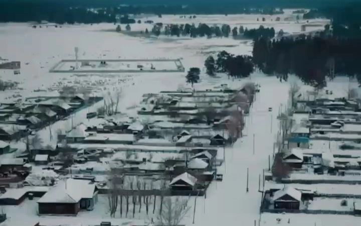 Лесное хозяйство подключили к интернету в области Абай