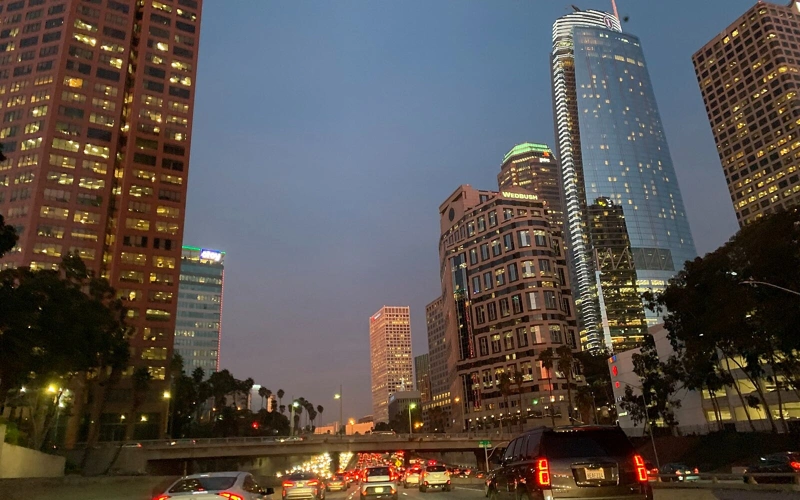 ФБР сорвало планы терактов в новогоднюю ночь в Лос-Анджелесе