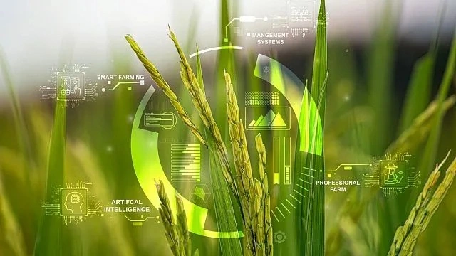 Iran unveils smart agriculture systems cutting water use by 30%