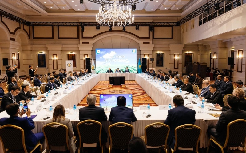 ИОПБ усиливает региональные инструменты продовольственной поддержки ИОПБ усиливает региональные инструменты продовольственной поддержки