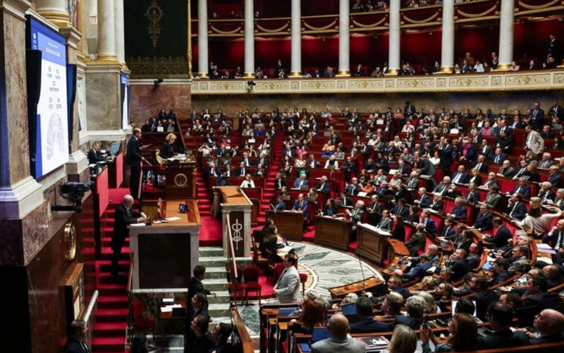 Парламент Франции выступил за приостановку пенсионной реформы