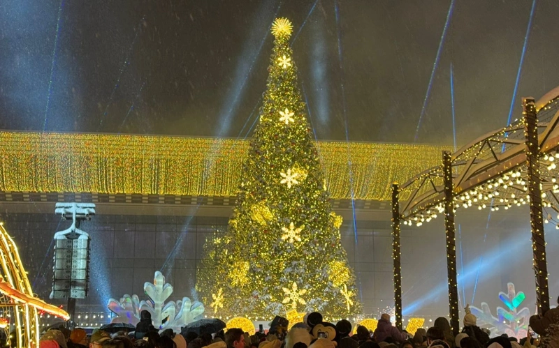 Главную елку зажгли в Алматы