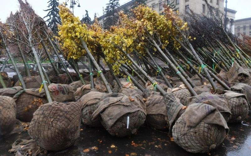 Almaty to plant 1.3 mln trees more, Mayor