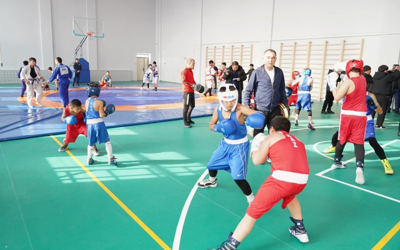 Строительство Дома культуры вело ТОО &laquo;Нүрі-Л-Жетісай&raquo;. Работы начались в мае 2024 года. Общая площадь участка &mdash; 1 гектар, площадь здания &mdash; 1 273 кв. метра. Конкурсная стоимость объекта &mdash; 794 002,7 тыс. тенге. Создано более 70 новых постоянных рабочих мест.