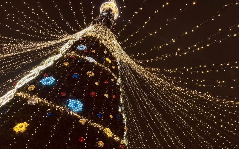 Главную елку зажгли в Павлодаре