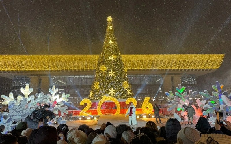 Главную елку зажгли в Алматы