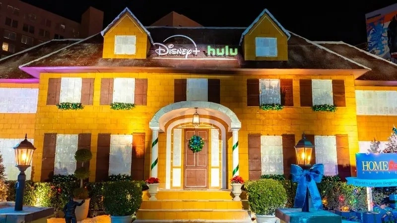 Үйде жалғыз