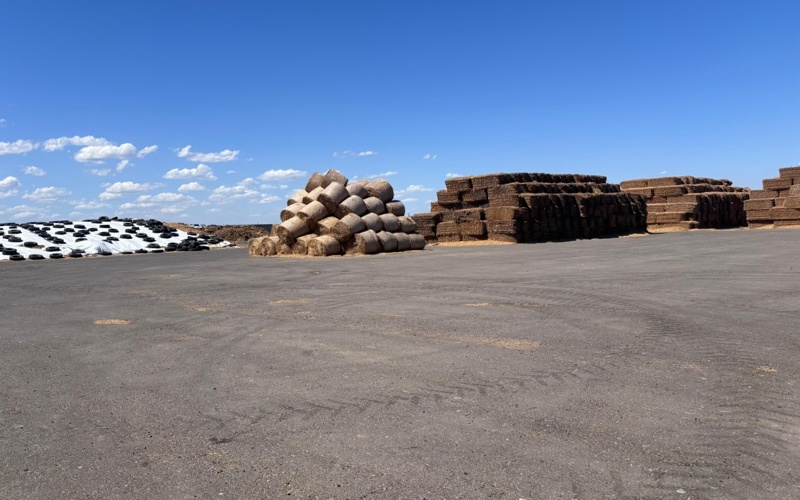 Pavlodarda asyl tuqymdy sharýashylyqtar alǵan sýbsıdııanyń qaıtarymy bar ma 