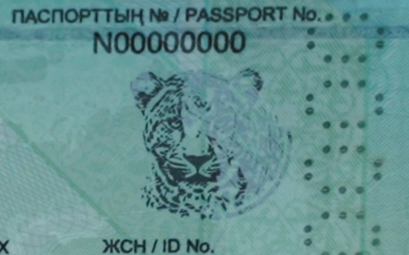 Казахстанский паспорт укрепил позиции в мировом рейтинге