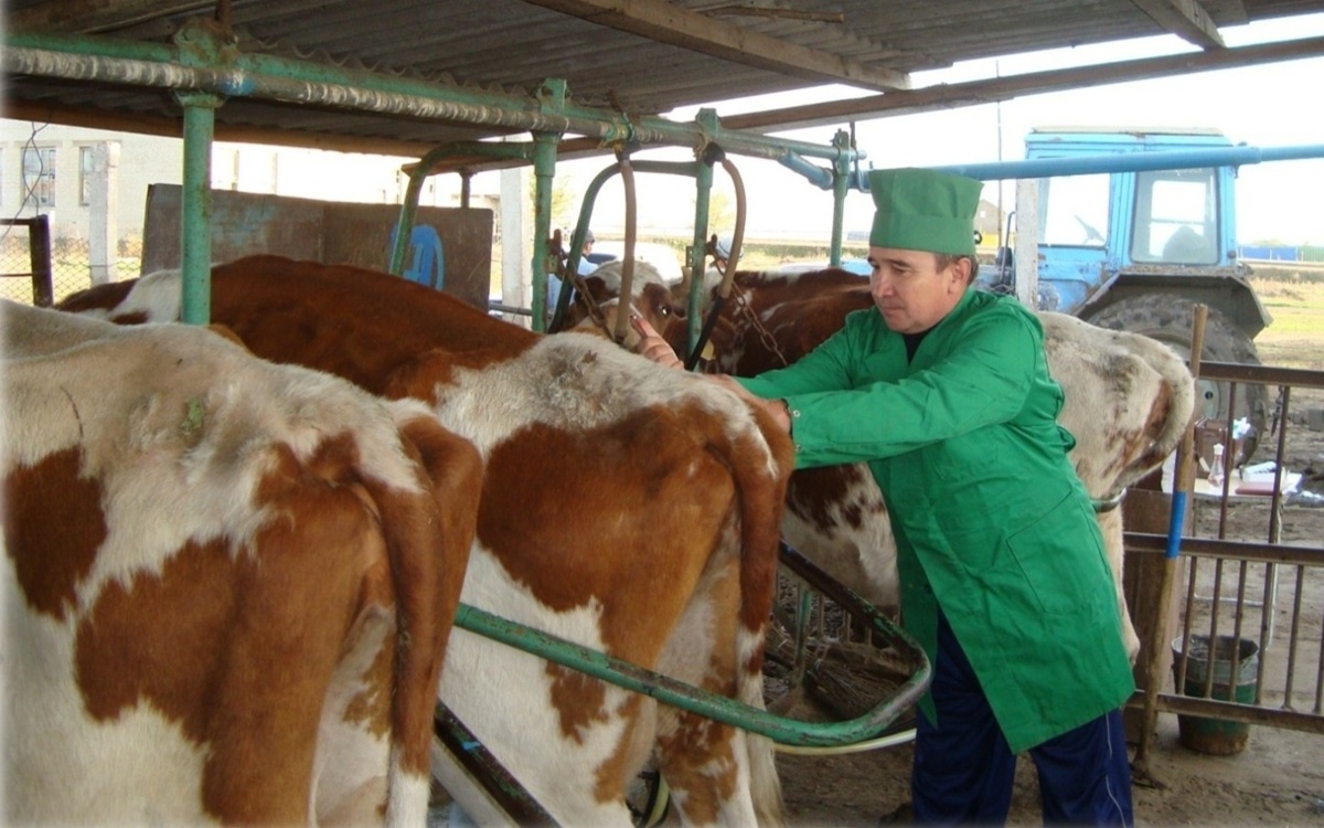 Қазақстанда ветеринария саласындағы өкілеттіктер қайта бөлінеді