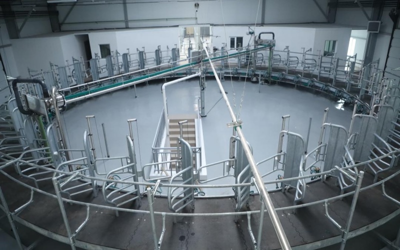 SQO-da jylyna 750 myń tonnalyq qýaty bar jem kombınatynyń qurylysy aıaqtalýǵa jaqyn