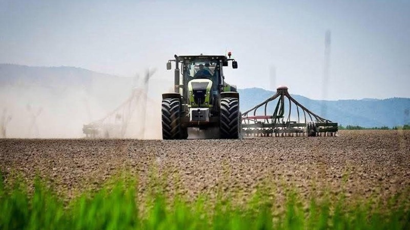 Көктемгі дала жұмыстарын қаржыландыруға өтінім қабылдау жалғасады