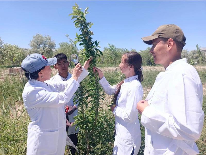 Раушан Нұрымова