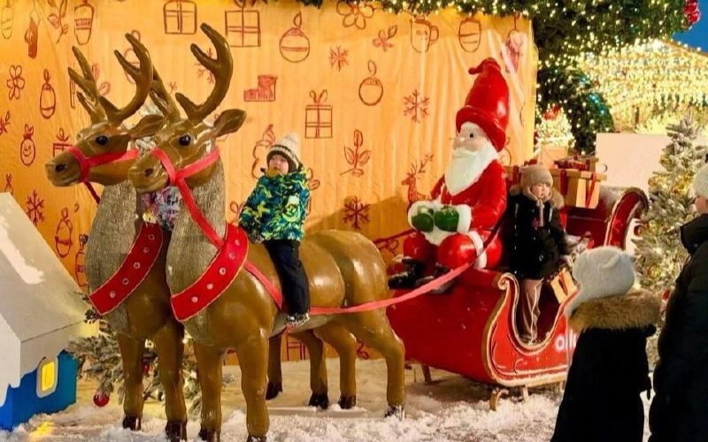 Сырғанақтар, мұз айдындары және жаңа жыл шыршалары