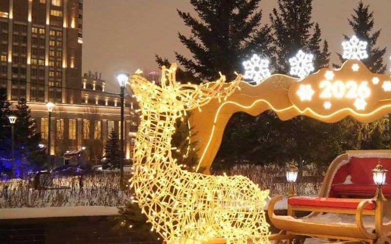 Сырғанақтар, мұз айдындары және жаңа жыл шыршалары Сырғанақтар, мұз айдындары және жаңа жыл шыршалары