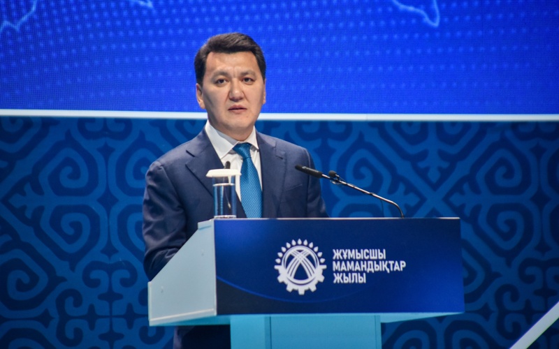 Ерлан Карин, Год рабоичх профессий