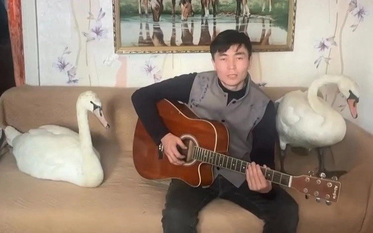 Павлодарлық жігіт құтқарып қалған аққуларын зообаққа тапсыруға мәжбүр болды