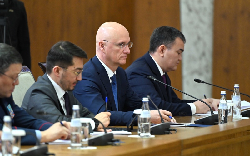 Астананы дамыту жөніндегі кеңес