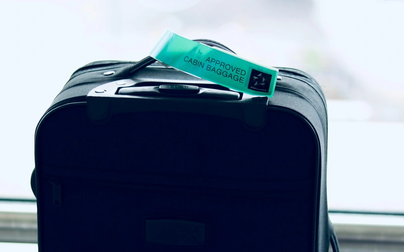 Қазақстан 2026 жылға арналған қандастар мен қоныс аударушыларды қабылдаудың өңірлік квотасын бекітті