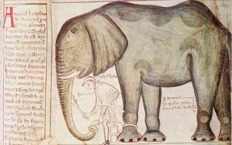 The elephant of Henry III, history