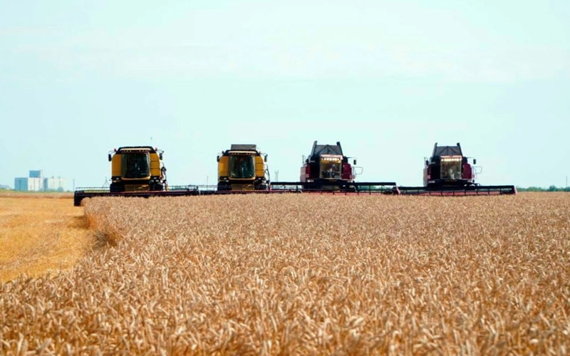 Kazakhstan’s grain and flour exports reach record highs  