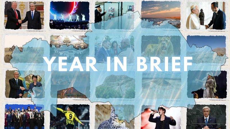 Year in brief