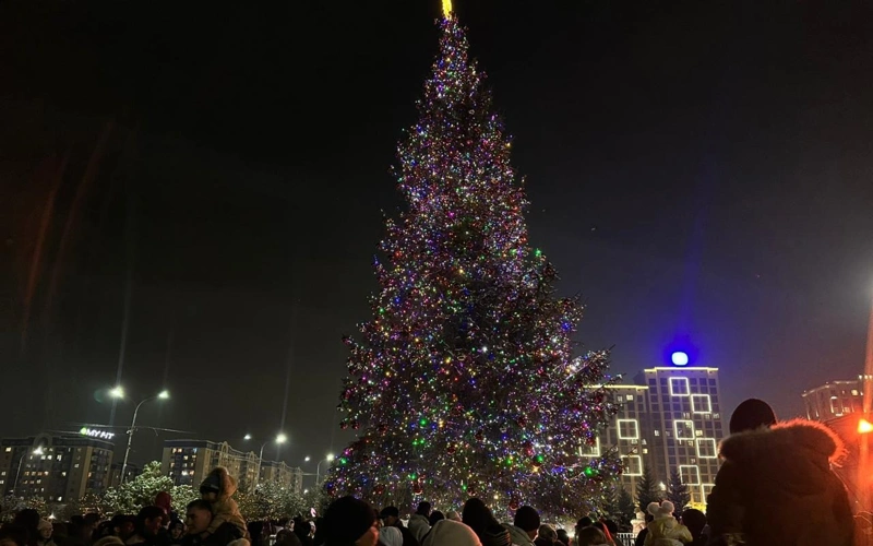 Что будет с живой новогодней елкой в Шымкенте после праздников