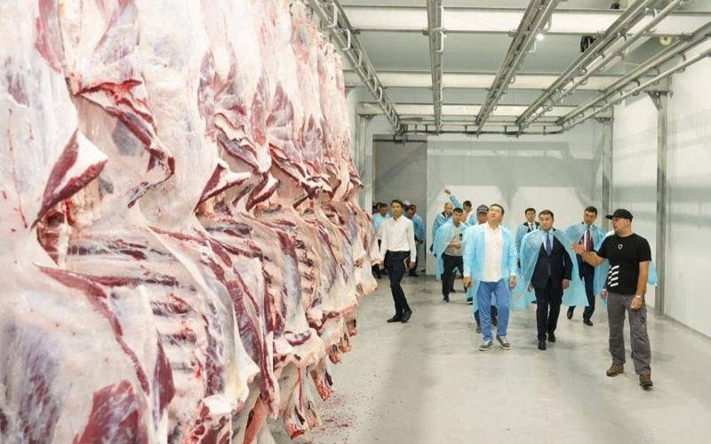 Казахстан открывает новые рынки для экспорта животноводческой продукции