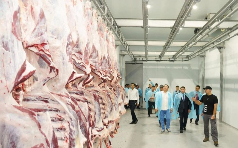 Қазақстандық ет пен сүт өнімдері жаңа нарыққа шықты