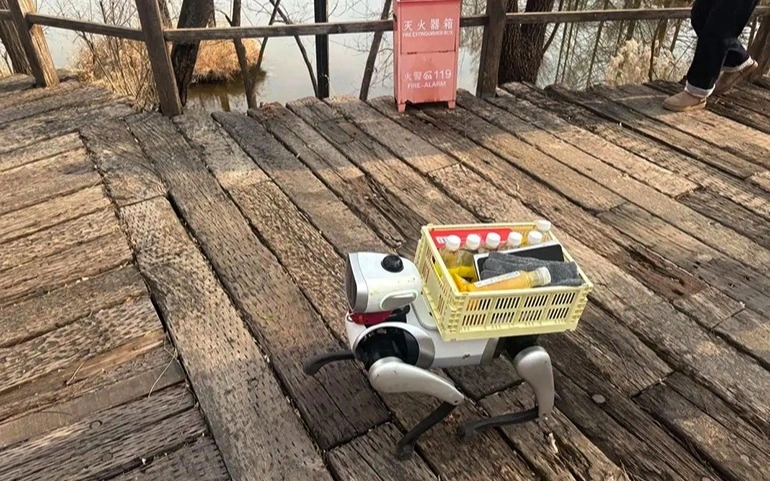 Роботов-собак начали продавать в Китае