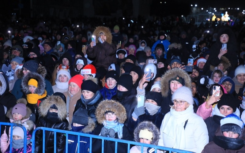 Новогоднюю елку зажгли в&nbsp;Караганде