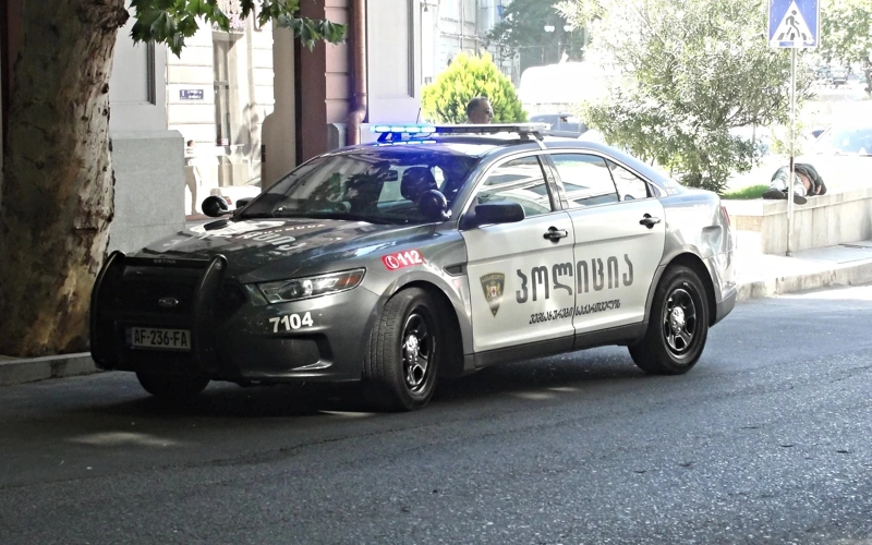 Грузия, Бачо Ахалая, беспорядки, полиция Грузии