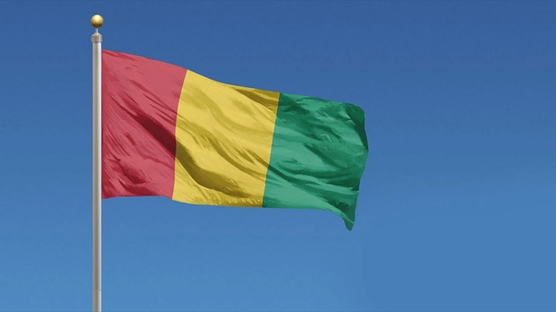 В Гвинее пройдут президентские выборы