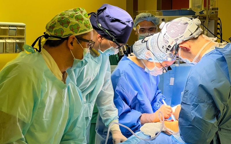 посмертные доноры посмертные доноры