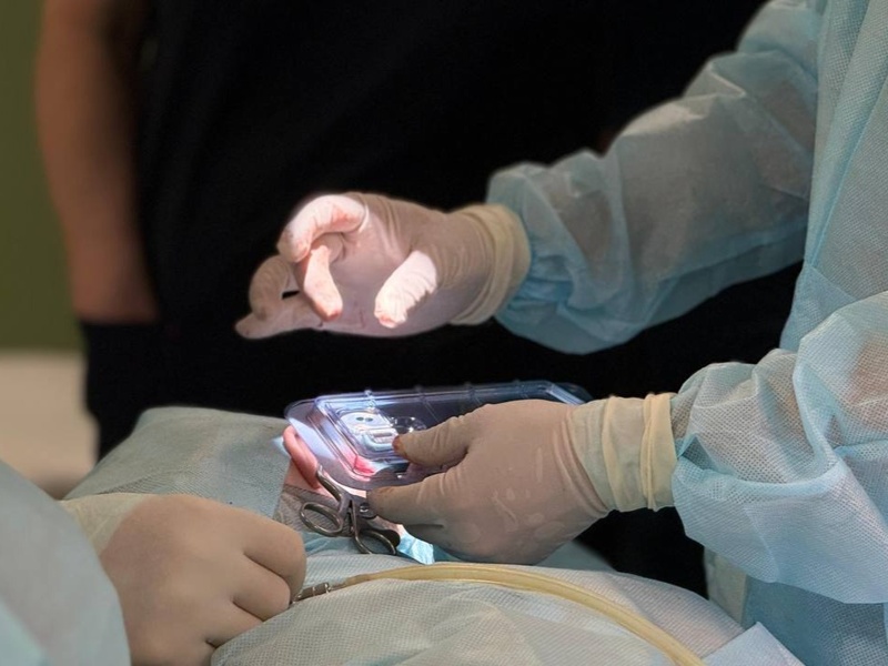 Karaganda doctors perform unique hearing restoration surgery