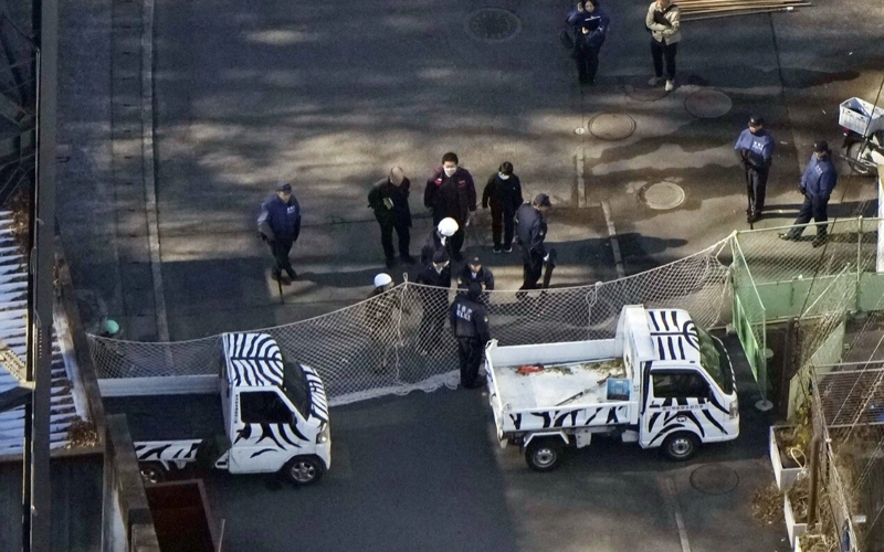 Wolf recaptured after escape causes chaos at western Tokyo zoo