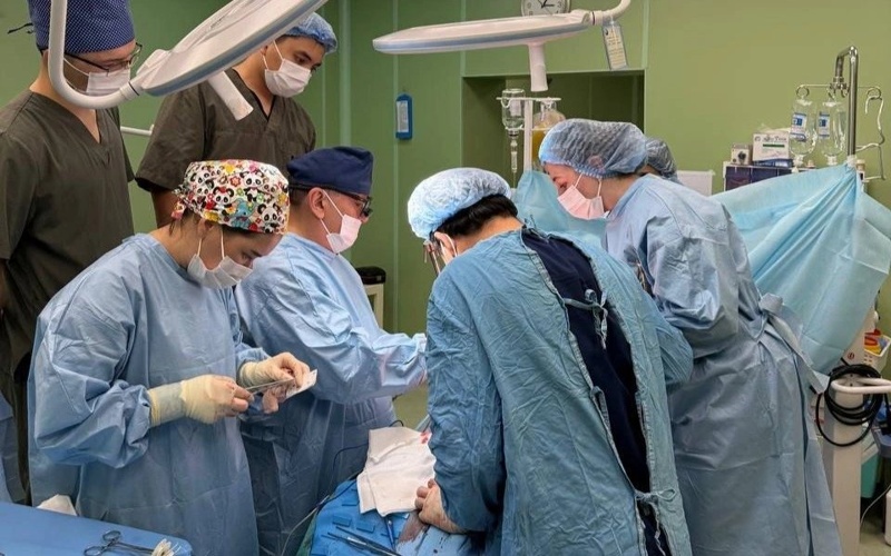 посмертное донорство