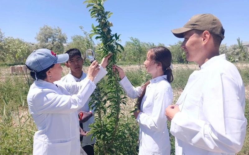 сельское хзяйство, растения