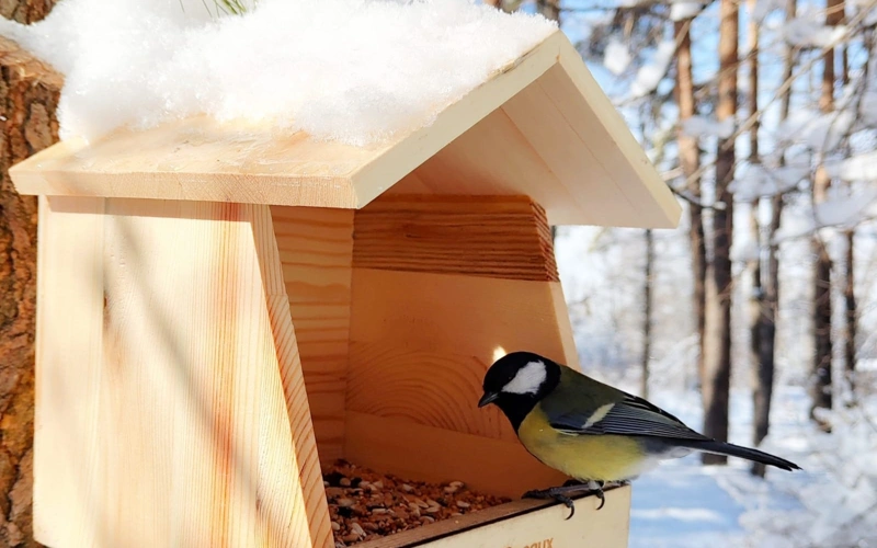 Птицы в Ботаническом саду Алматы