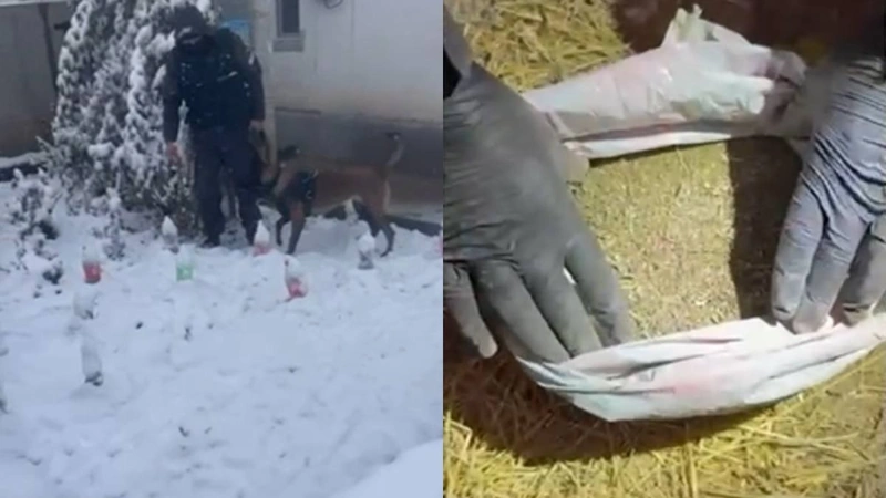 Almatyda polıtsııa iri kólemdegi esirtki satý arnasynyń jolyn kesti