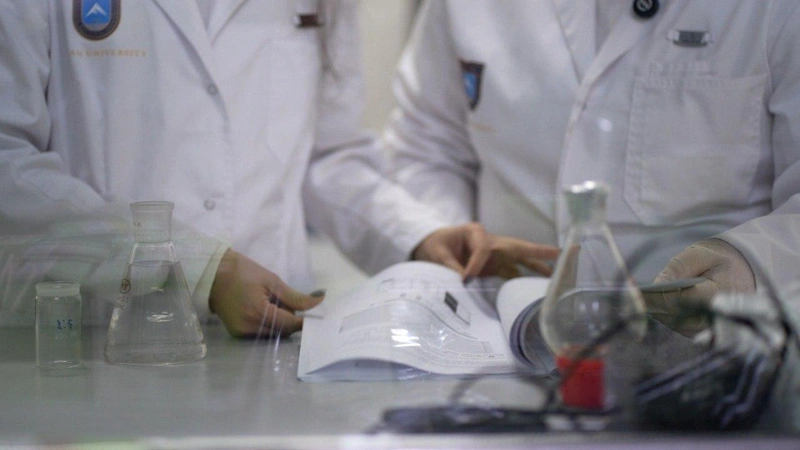 哈萨克国立大学青年学者研究获突破：证实菊苣具有显著抗糖尿病功效