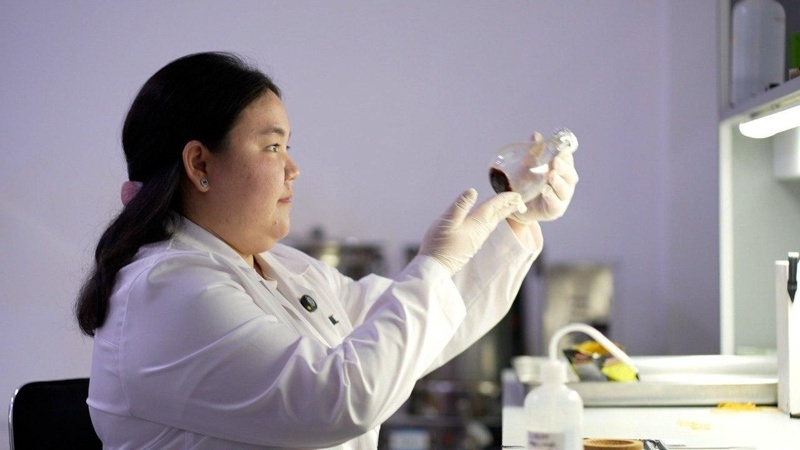 哈萨克国立大学青年学者研究获证实菊苣具有显著抗糖尿病功效