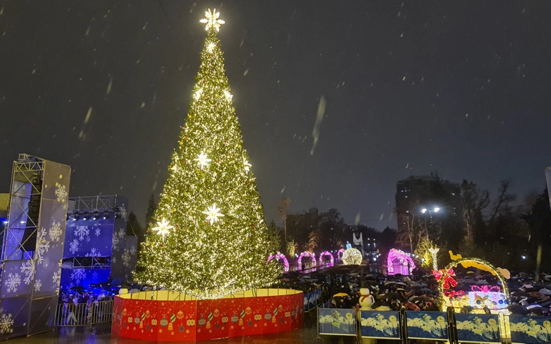 Как в Алматы встретили 2026 год