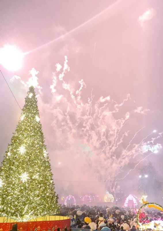 Как в Алматы встретили 2026 год