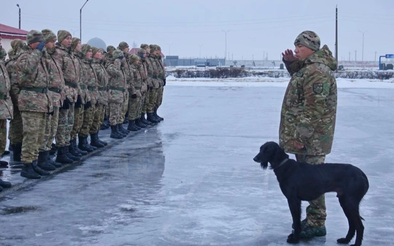 Қарулы күштерде «Айқас» атты тазы қызмет етеді