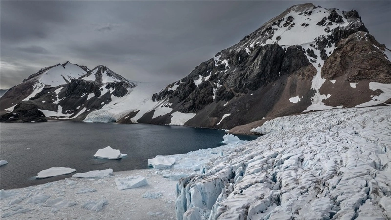 Rising temperatures in the Arctic increase extinction risk for seal species
