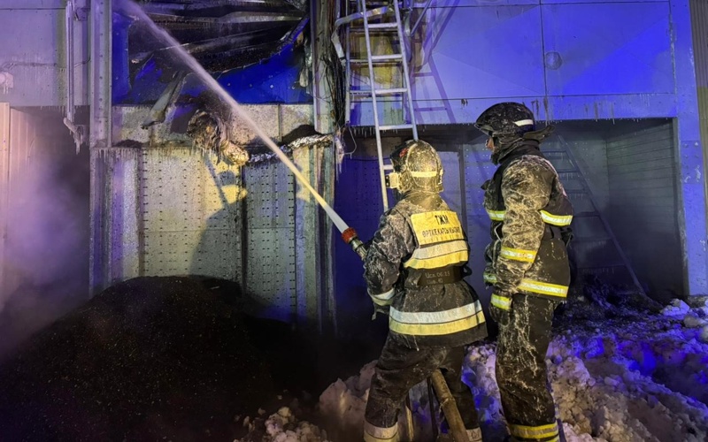 Казахстанские спасатели совершили 210 выездов в новогоднюю ночь пожарные, тушение пожара