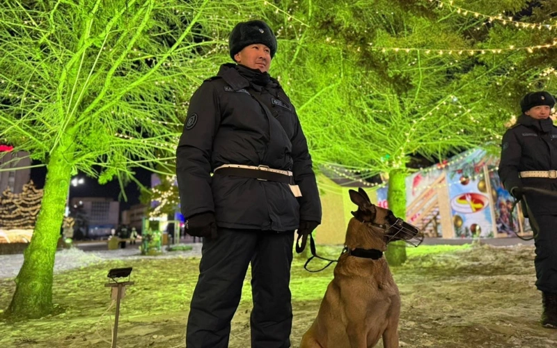 Abaı oblysynda jańa jyl túni 2 myńnan as polıtseı qoǵamdyq tártipti qamtamasyz etti