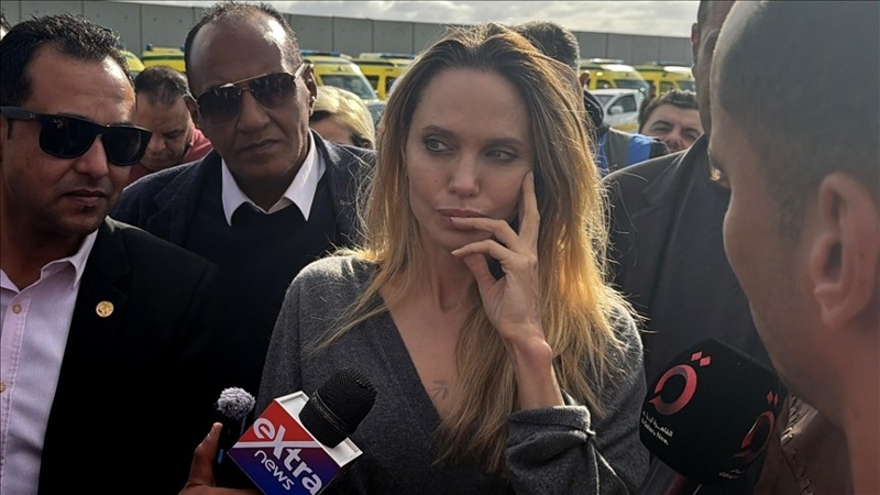 Анджелина Джоли, Газа